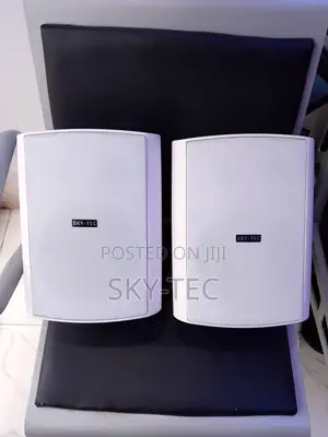 Sky-Tec 40watts Hanging Indoor and Outdoor Big Magnet Passive Speaker