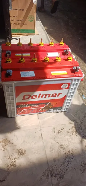 Delmar Tall Tubular Battery 220Ah Made in India