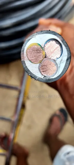 50mm 3core Nigeria Flex Cable and Wire