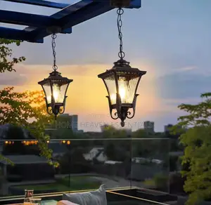 Vintage Outdoor and Indoor Dropping Light