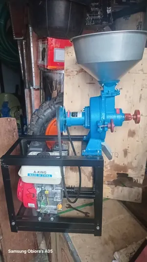 Wet and Dry Grain Grinding Mill