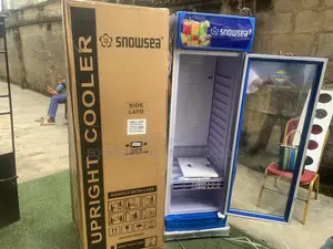 Snowsea LC-300 300L Beverage Display Chiller