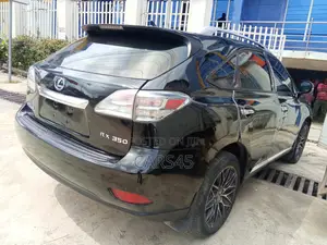 Lexus RX 2010 Gray
