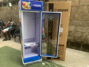 Snowsea LC-300 Supermarket Display 300L Chiller