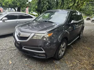 Acura MDX 2010 Gray