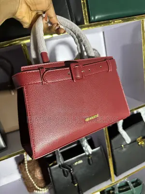 Brown Fashion Meduim Sized Bag for Ladies
