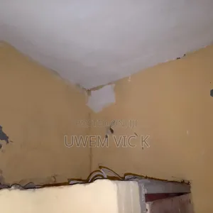 Paint Production and Screeding.