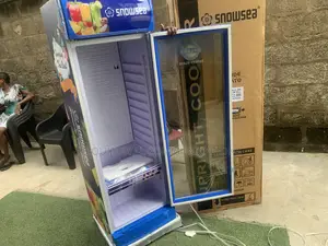 Snowsea LC-300 Beverage Chiller With Glass Door