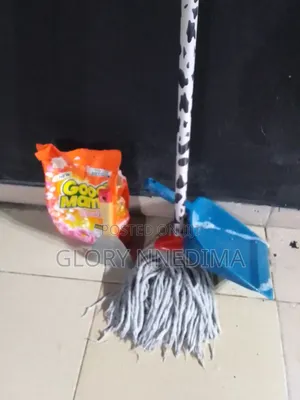 Professional Home and Cleaning Services in Lagos