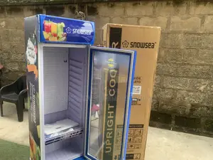 Snowsea LC-300 300L Commercial Beverage Showcase Chiller