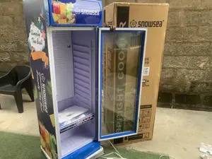 Snowsea LC-300 Single Door Beverage Merchandiser