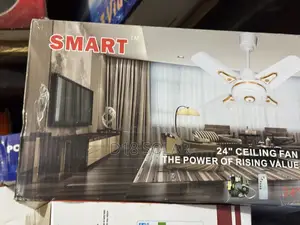 25w Ceiling Fan AC Dc Smart