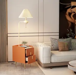 Luxury Living Floor Lamp With Storage