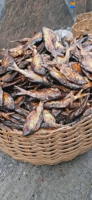 Milike Food Nigeria Enterprise