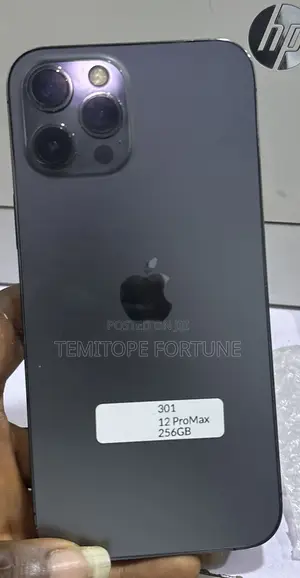 Apple iPhone 12 Pro Max 256 GB Black