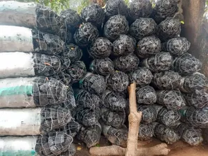 Charcoal, Palm Kernel Shell, Cashew Nuts