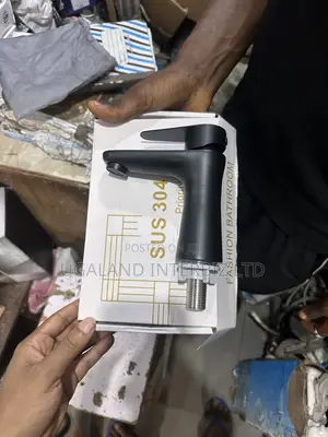 Modern Black SUS 304 Basin Faucet