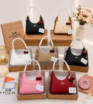 Luxury Coach Bag