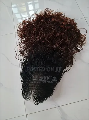 Braided Wigs