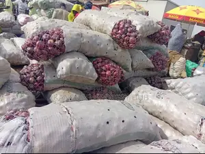 Bag of Onions