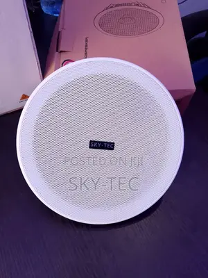 Sky-Tec 10watts Passive 6.5inches Frameless Ceiling Speaker