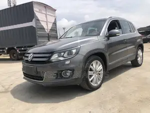 Volkswagen Tiguan SEL 2013 Gray