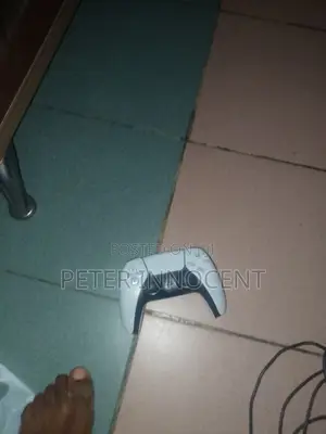 PS5 Sony Pad