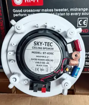 Sky-Tec 30watts Passive 6.5inches Big Magnet Ceiling Speaker