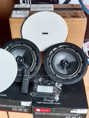 Sky-Tec 100w 1active 1passive Bluetooth Big Magnet Ceiling Speaker