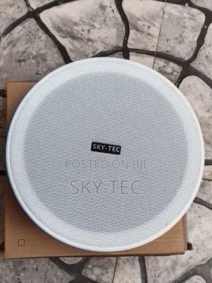 Sky-Tec 20w Passive Flameless Woofer: 6.5inches Ceiling Speaker Magnet