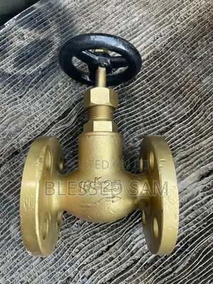 -25 Globe Valve Flanged