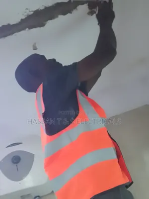Professional Electrician