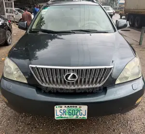 Lexus RX 330 2004 Gray