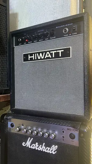 Portable Combo Speaker