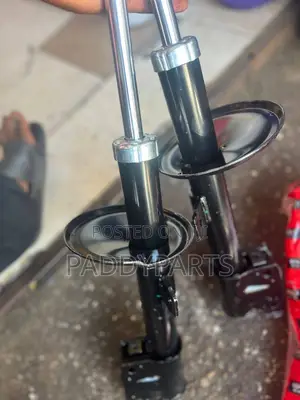 Renault Duster Shock Absorber