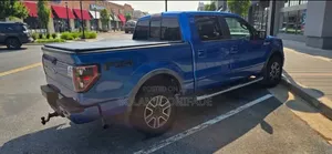 Ford F-150 2010 Blue