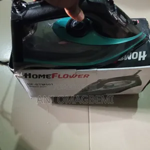 One Month Old Steam Iron