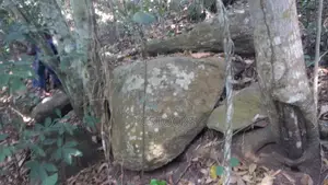50 Acres of Quarry Land