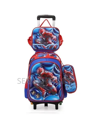 3 in 1 Luxury School Bag