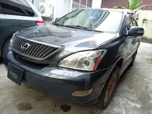 Lexus RX 2004 Gray