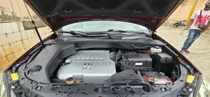 Lexus RX 2009 Burgundy