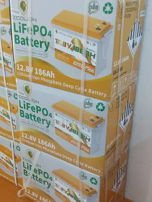 Ecolion Lithium Iron Phosphate Deep Cycle Battery 12.8v and 186ah