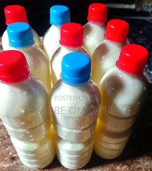 Yoghurt Made With Fresh Cow Milk