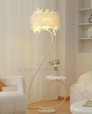 French Floor Lamp Feather Crystal Bedroom Bedhead Living Room
