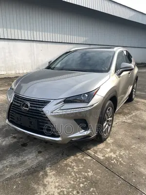 Lexus NX 300 AWD 2018 Silver