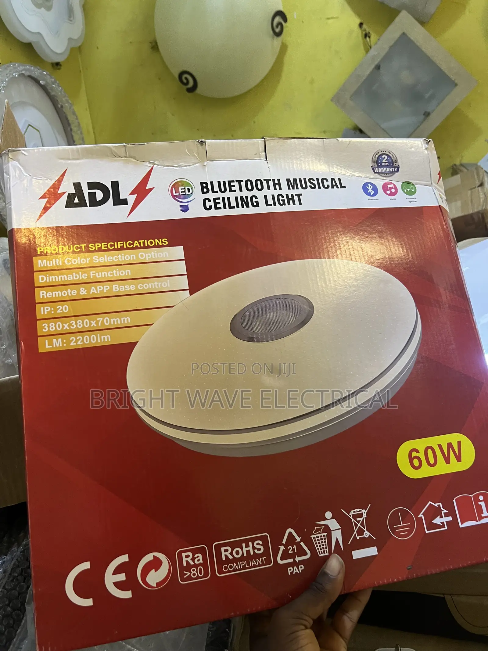 Ceiling Light With Speaker