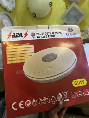 Ceiling Light With Speaker