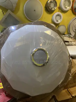 Ceiling Light With Speaker
