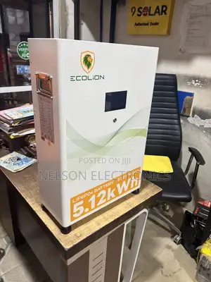 Ecolion 5kwh Lithium Ion Batteries 48v With 5 Years Warranty