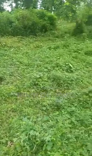 2600sqm of Land at Moremi Estate Ile-Ife